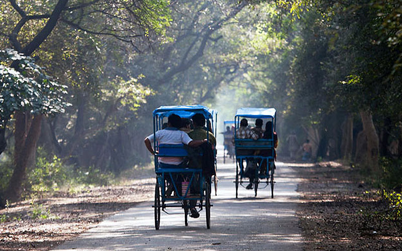 5 Days Golden Triangle Tour with Bharatpur Bird Sanctuary