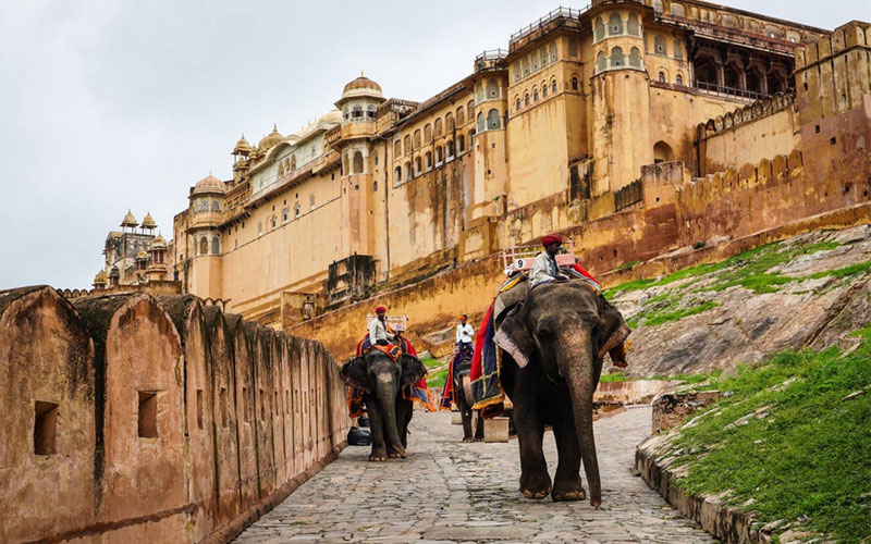 Private Jaipur Full Day Tour by Car from Delhi - All Inclusive