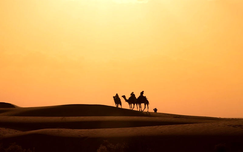 14 Days Rajasthan Tour with Jodhpur, Jaisalmer, Bikaner and Mandawa