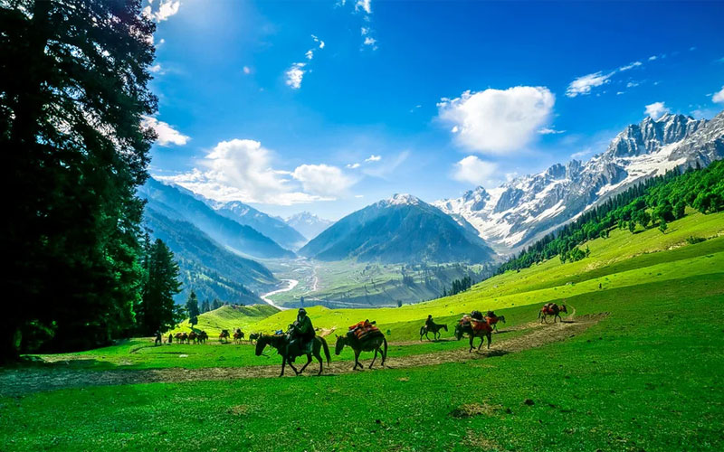 6 Nights Kashmir Honeymoon Tour Package for Couple