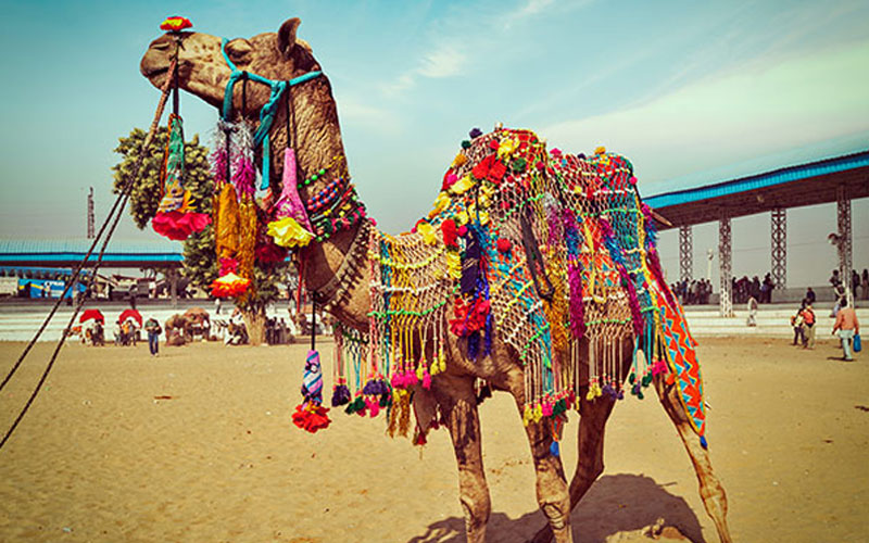 22 Days Rajasthan Tour with Jaisalmer, Ranthambore, Agra and Varanasi