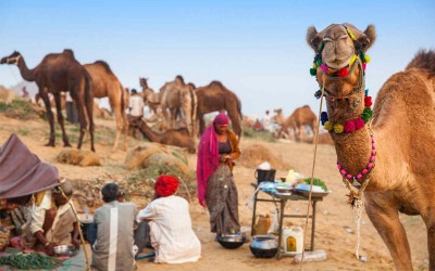 7 Days Golden Triangle Tour with Ajmer and Pushkar City