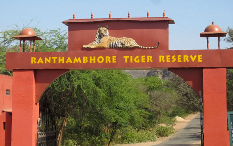 13 Days Rajasthan Tour with Tiger Safari in Ranthambore