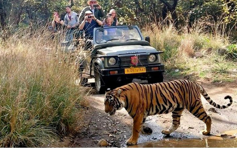 5 Days Golden Triangle Tour with Ranthambhore Tiger Safari