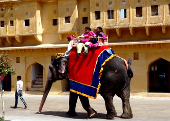 Elephant Ride, Jaipur