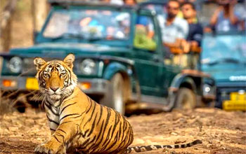 Ranthambore